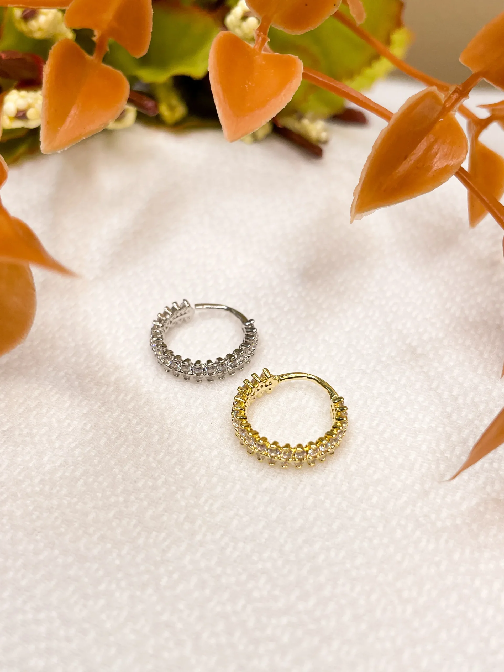 Argola Coroa Filete Duplo - Imagem 4