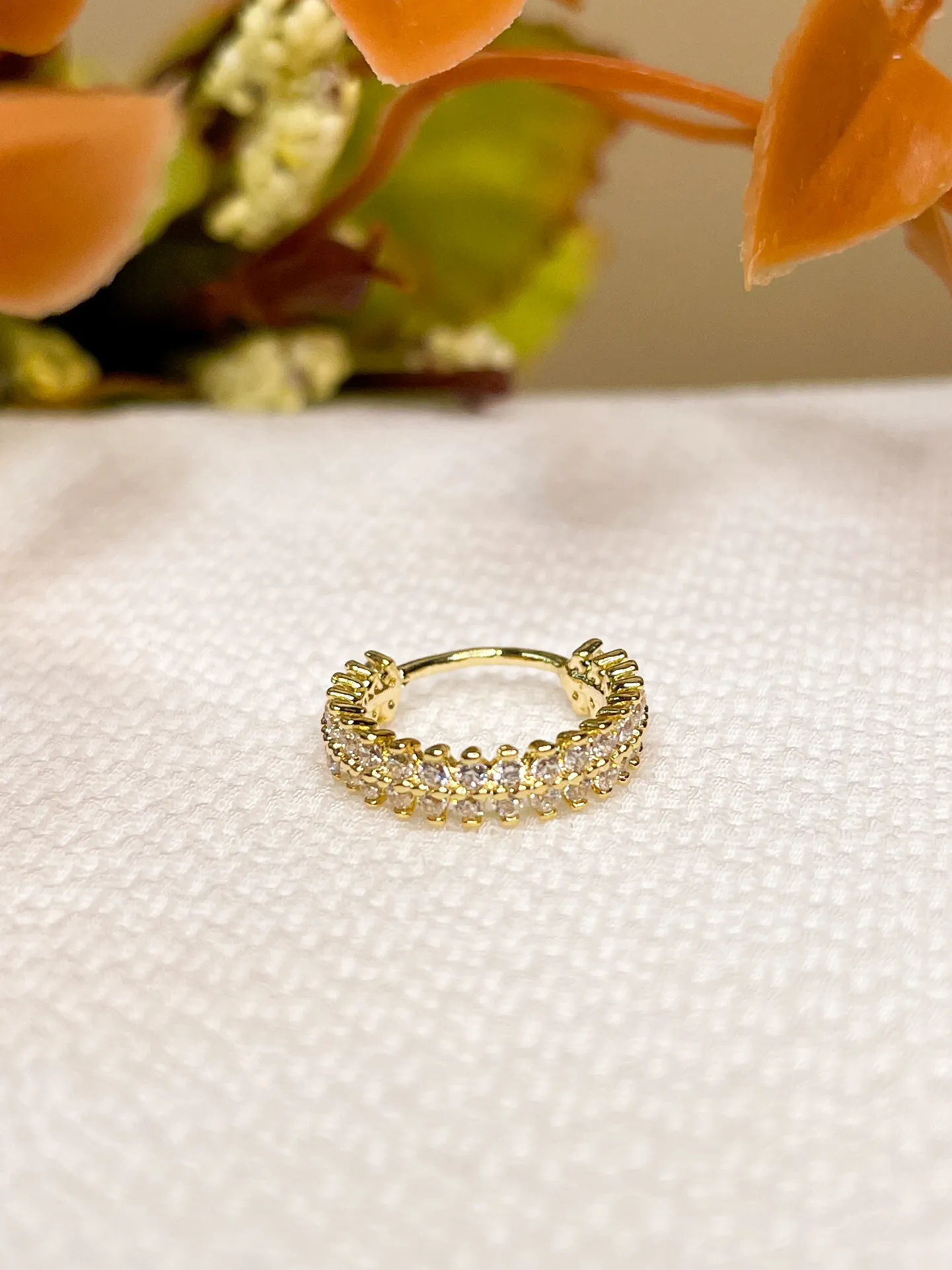 Argola Coroa Filete Duplo