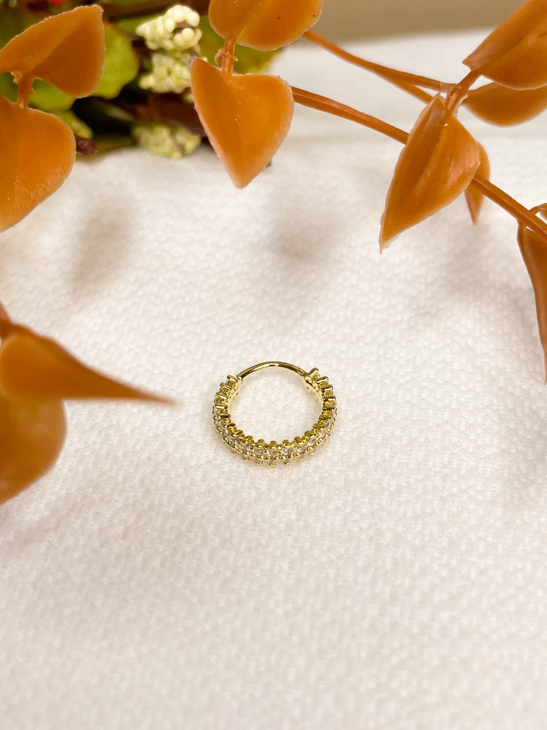 Argola Coroa Filete Duplo - Imagem 2