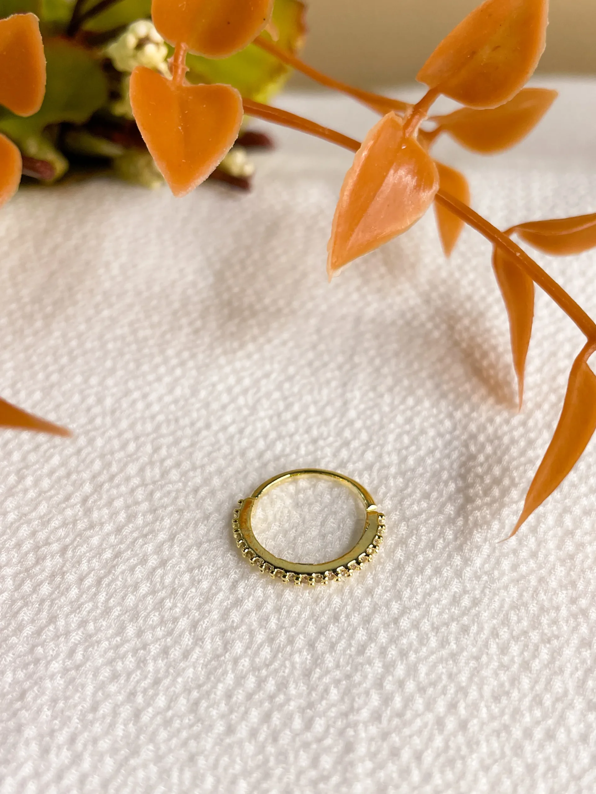 Argola Coroa Fina - Imagem 9