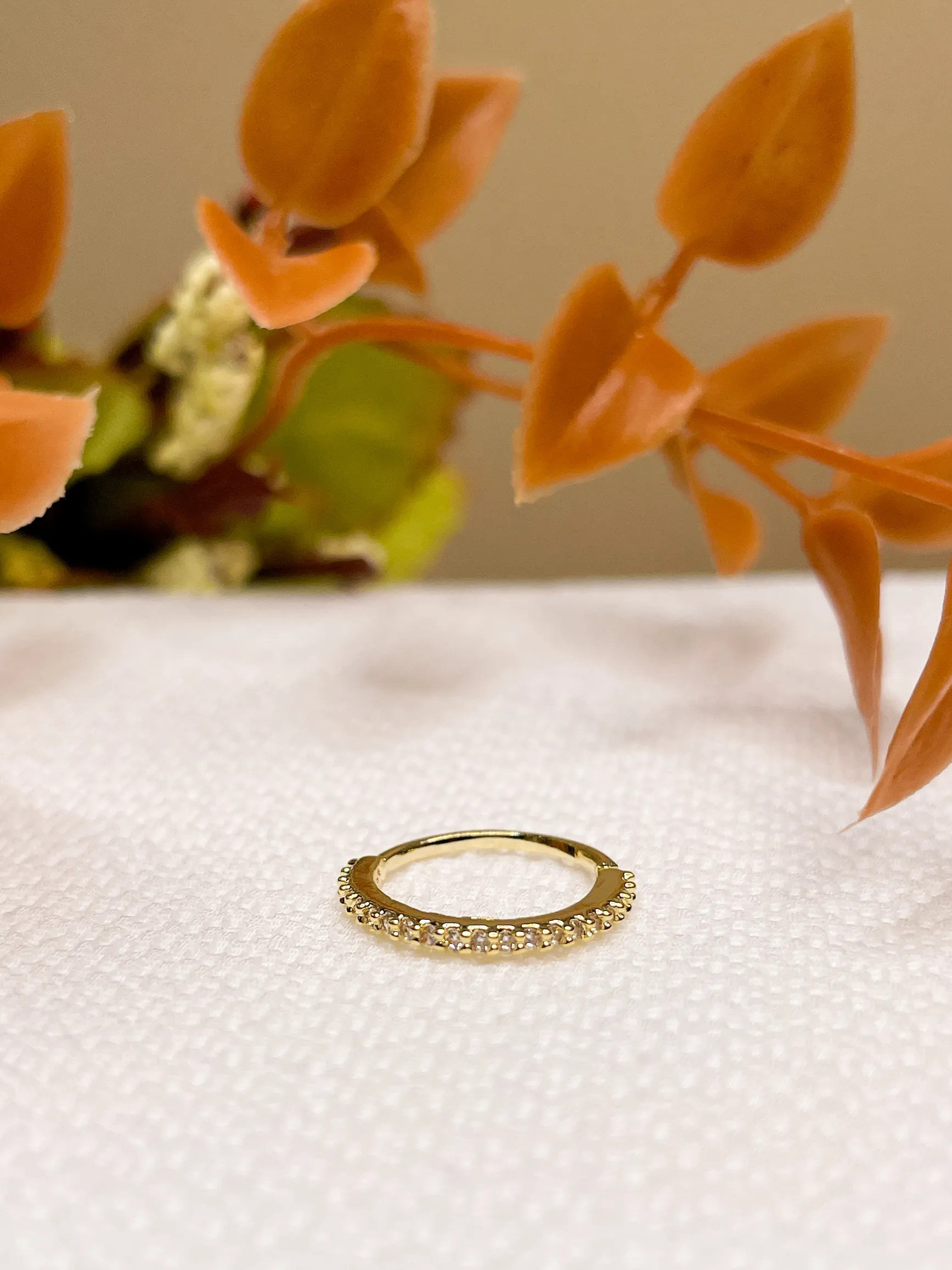 Argola Coroa Fina - Imagem 8