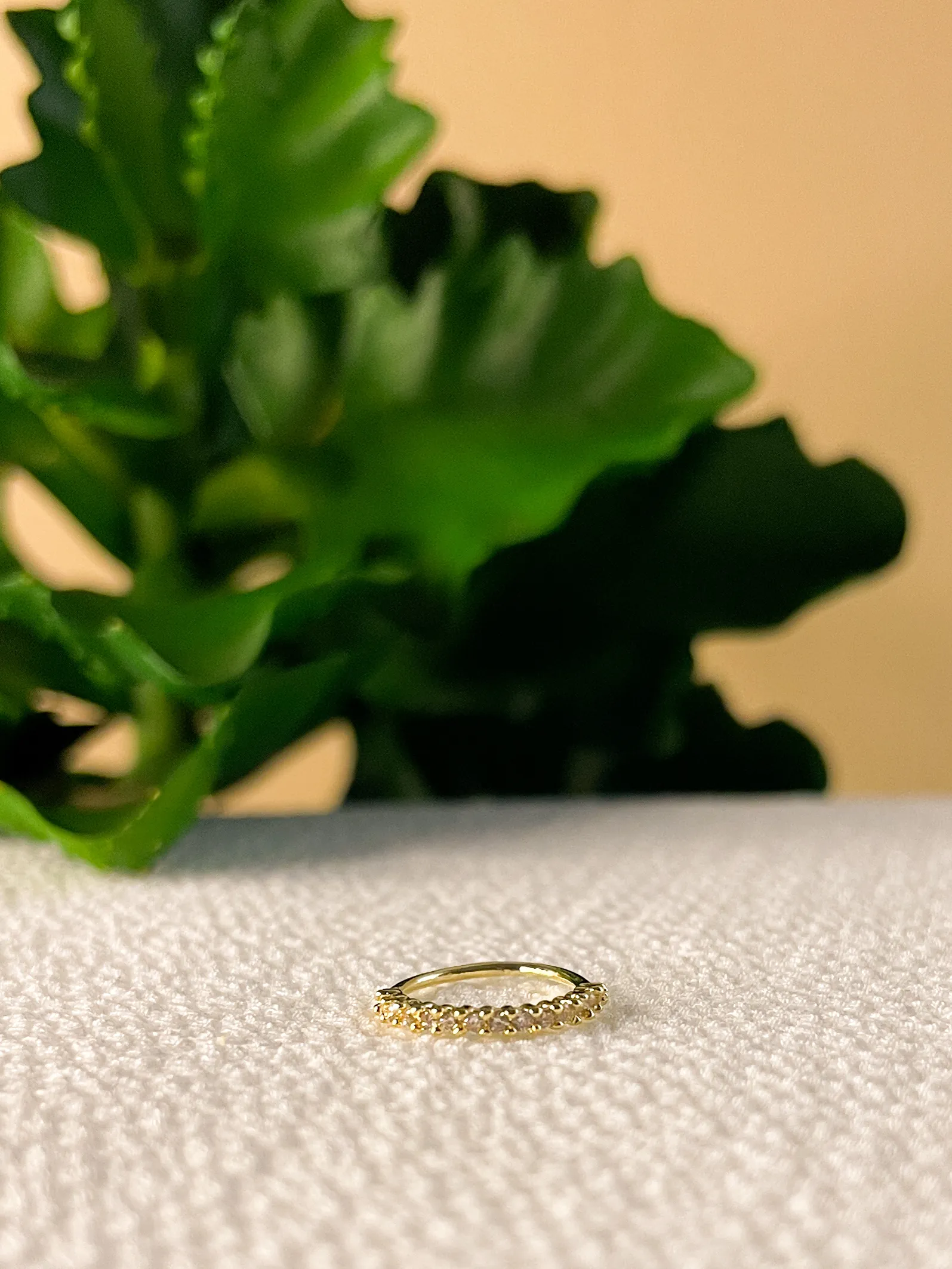 Argola Coroa Fina - Imagem 2