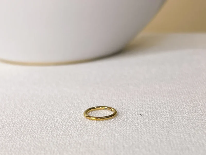 Argola Segmento Articulado Lisa