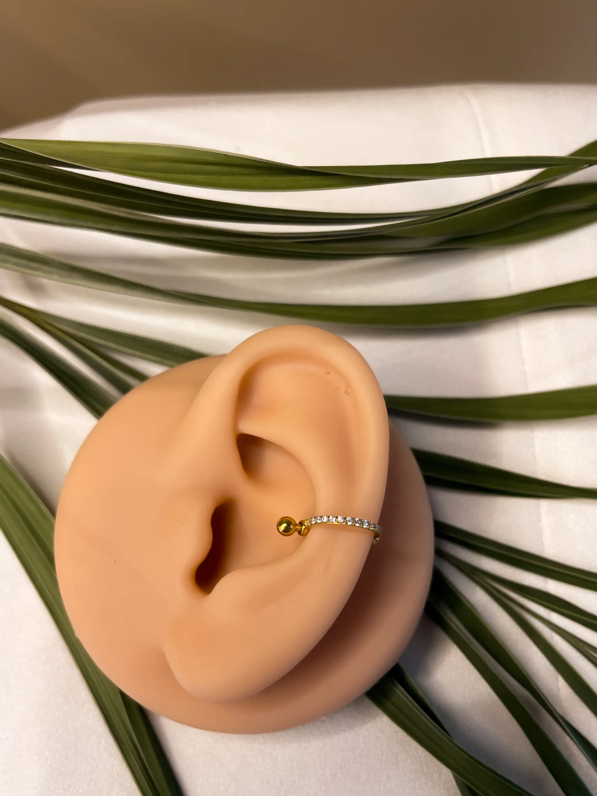 Conch - Imagem 5