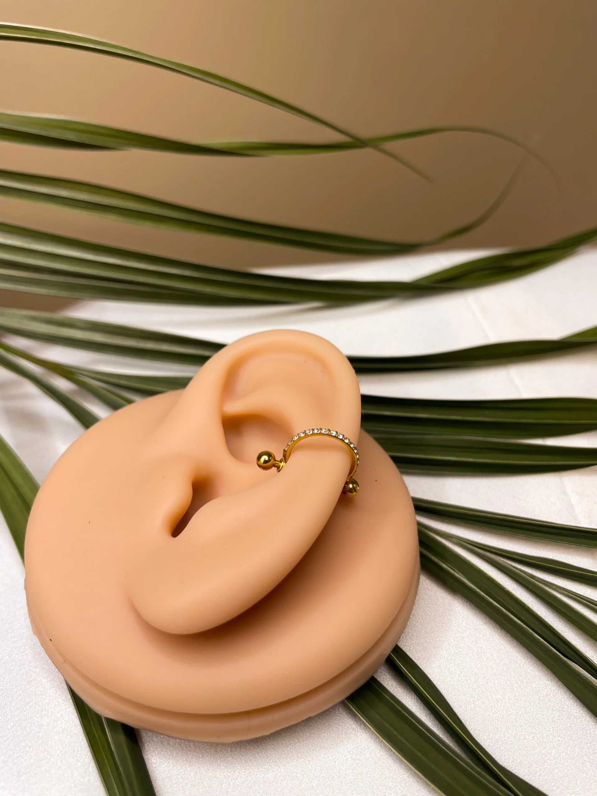 Conch - Imagem 6