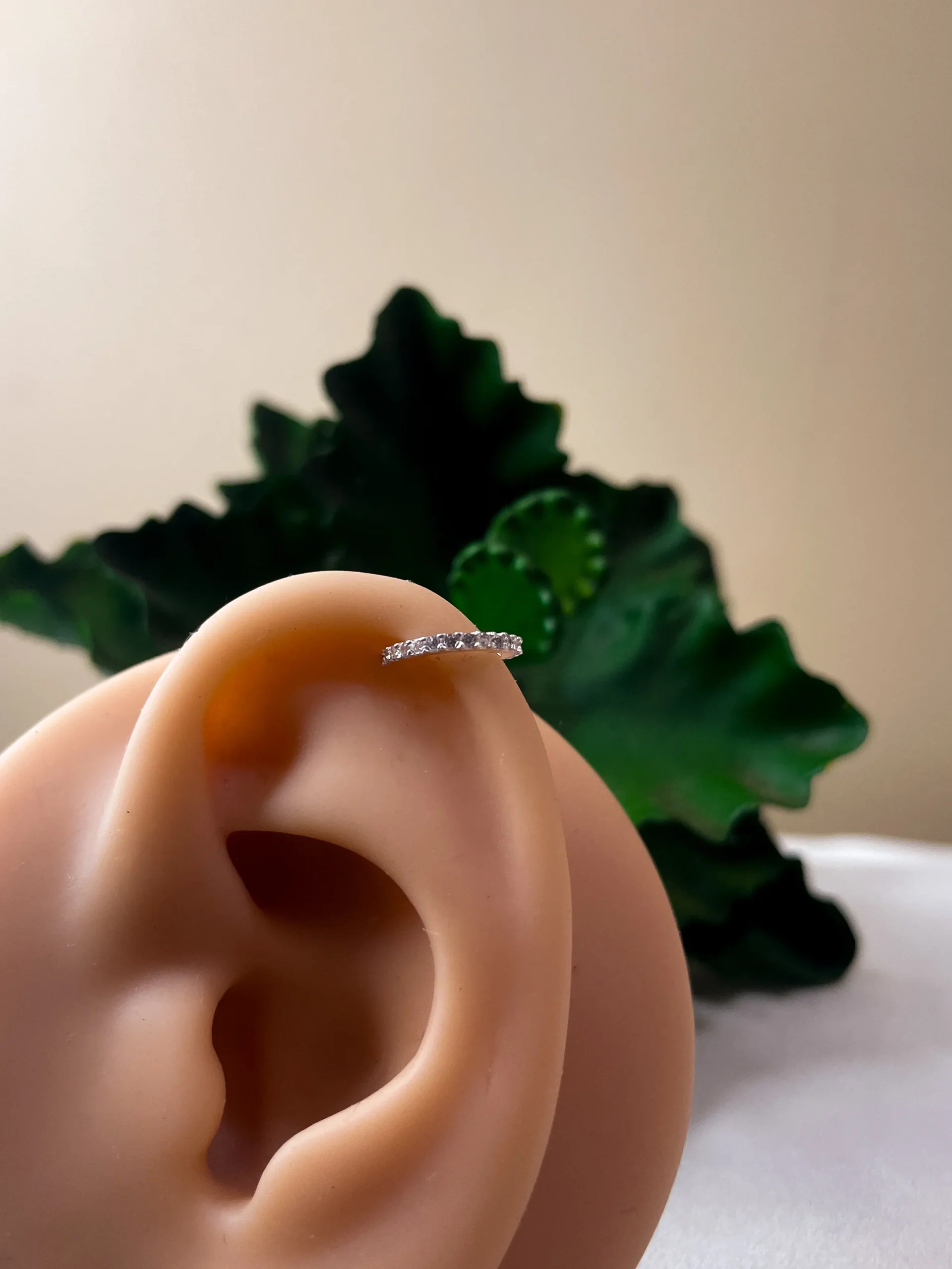 Argola Coroa Cravejada - Imagem 3