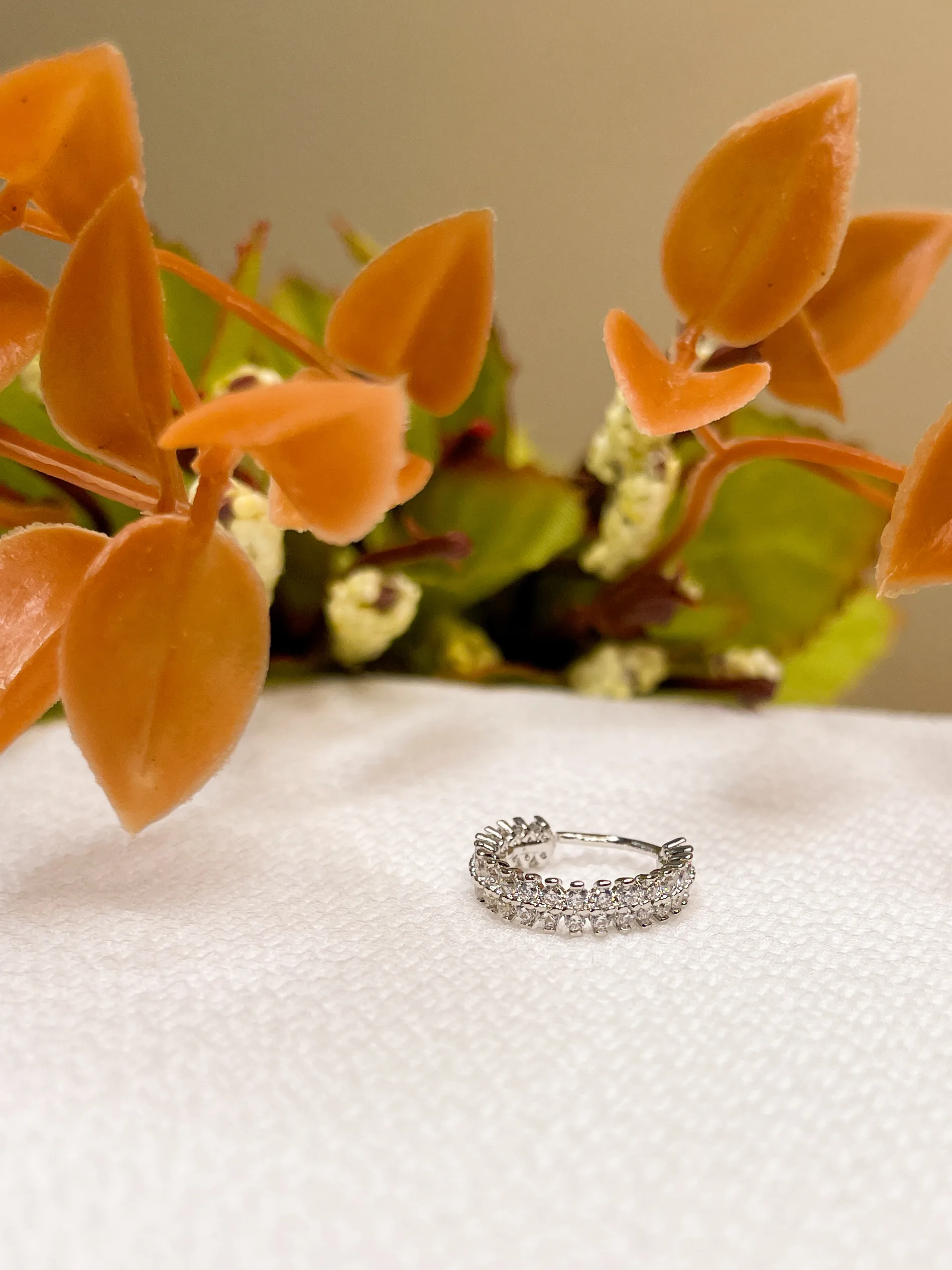 Argola Coroa Filete Duplo - Imagem 5