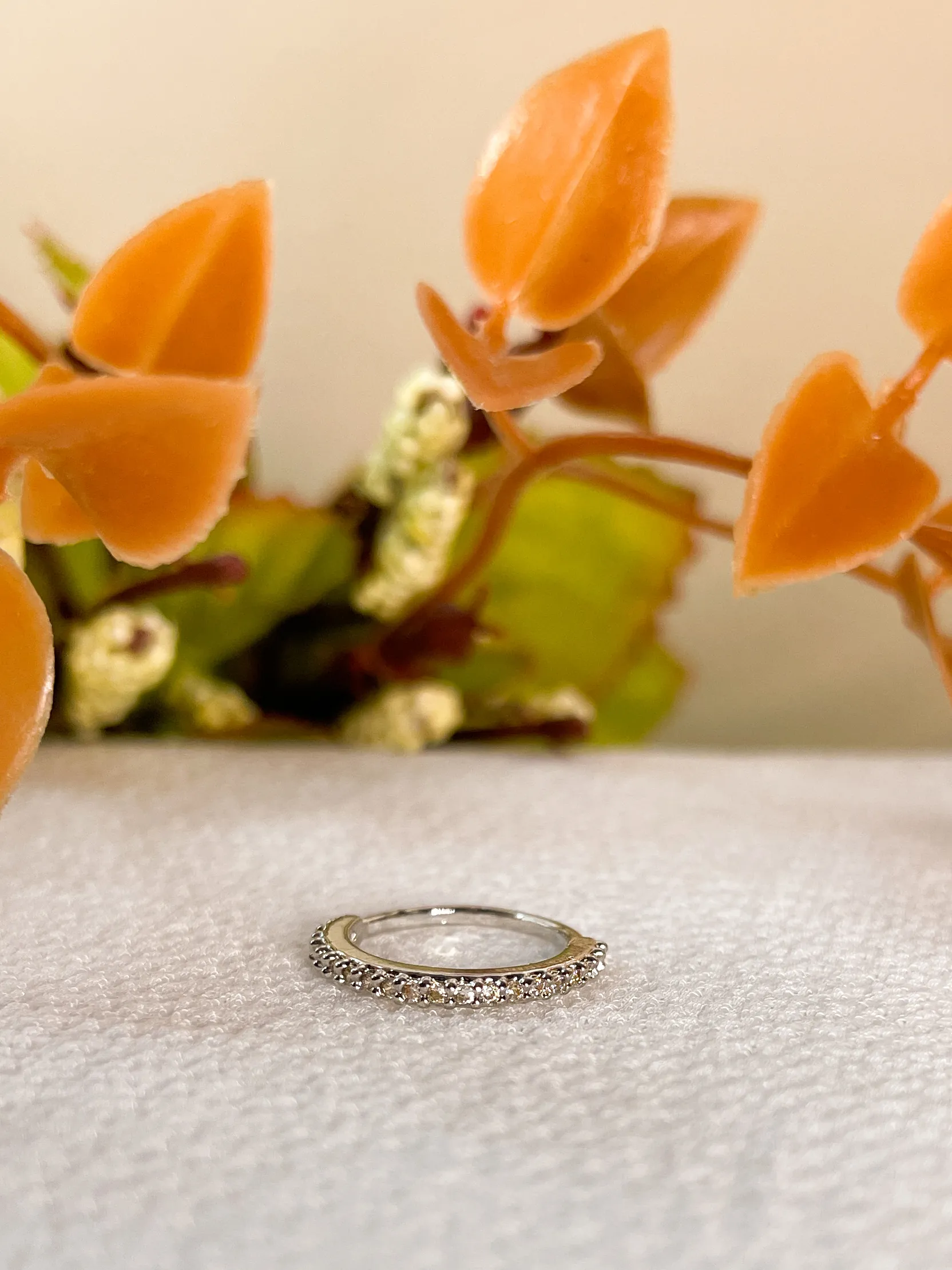 Argola Coroa Fina - Imagem 14