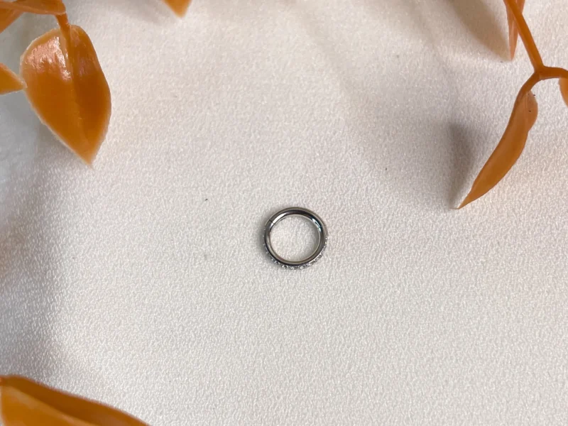 Segmento com Zirconia